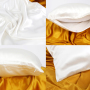 OEKO-TEX Standard 100% Natural Pure 22mm Zipper Silk Pillow Cover
